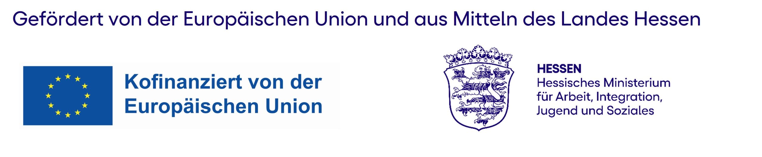 logo-eu-hmsi-data